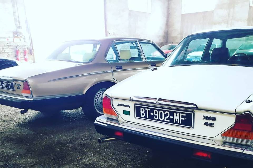 Jaguar XJ6 et Jaguar XJ12