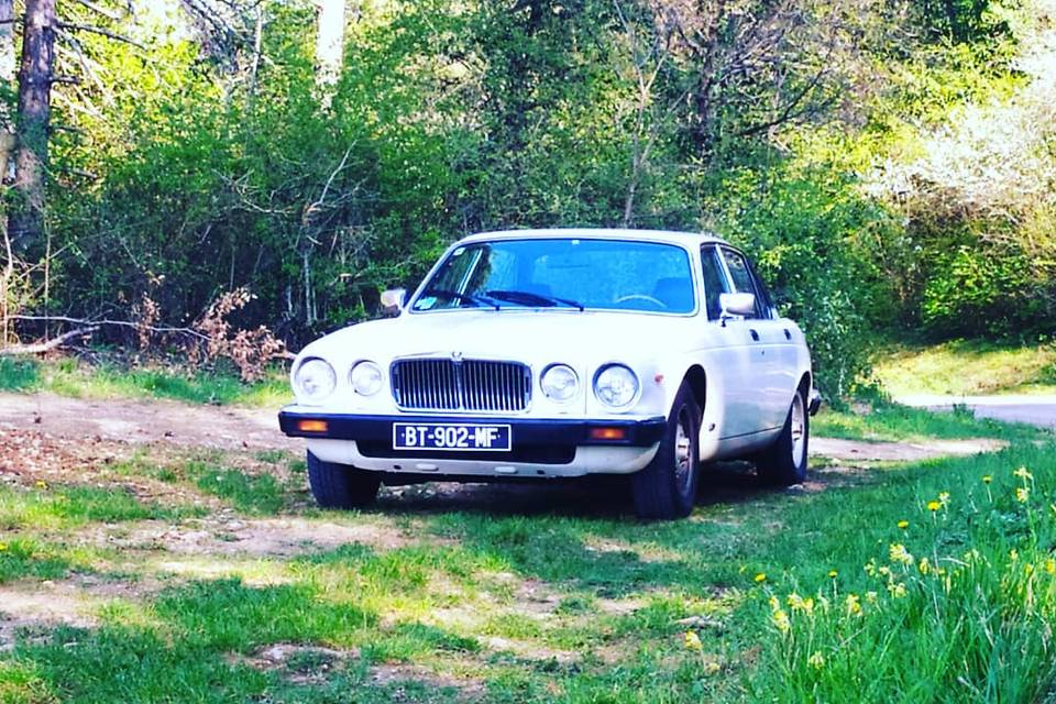 Jaguar XJ6