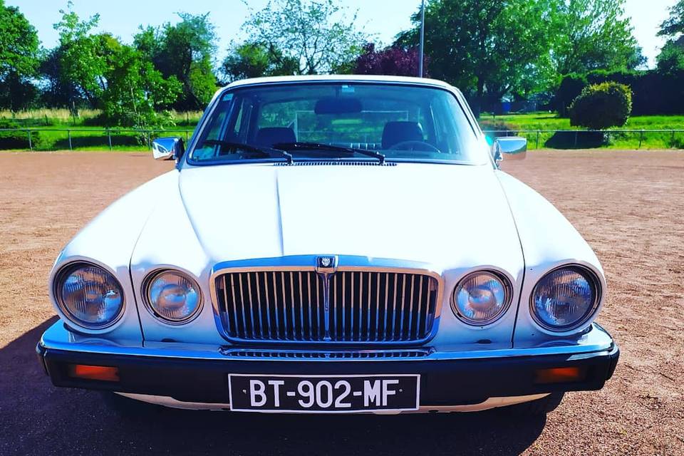 Jaguar XJ6