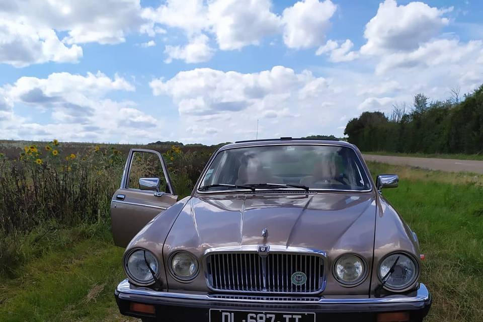 Jaguar XJ12