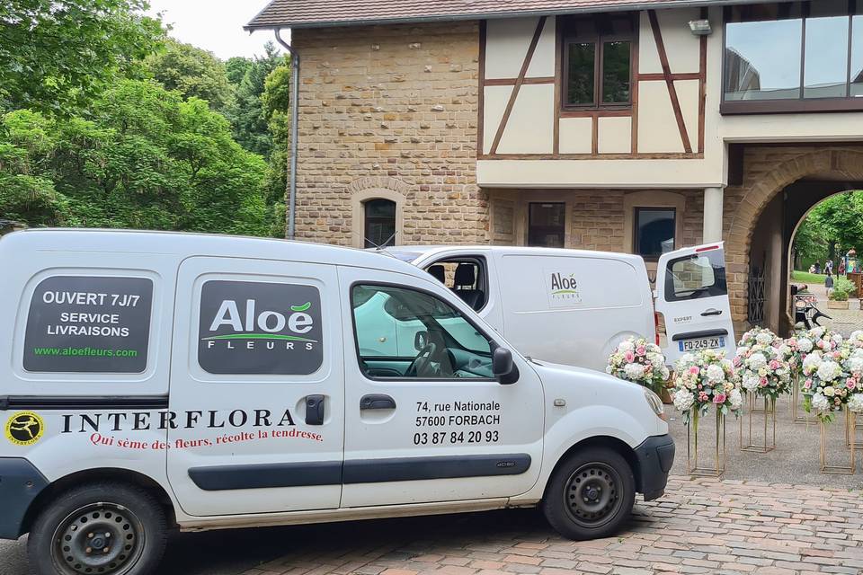Aloé Fleurs