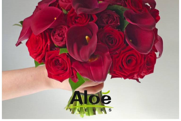 Aloé Fleurs