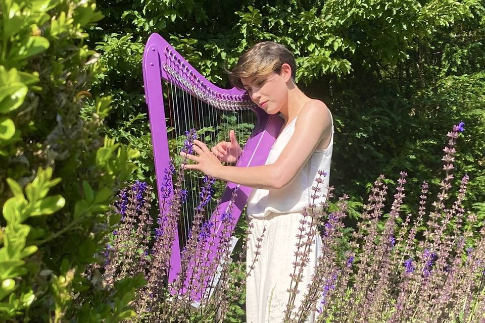 Babyharp