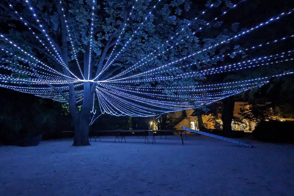 Ciel étoilé nocturne