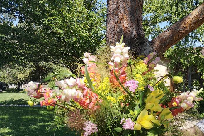 Bouquet flou avec Cotinus