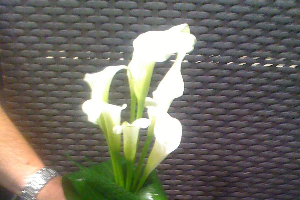 Petit bouquet de callas ivoire