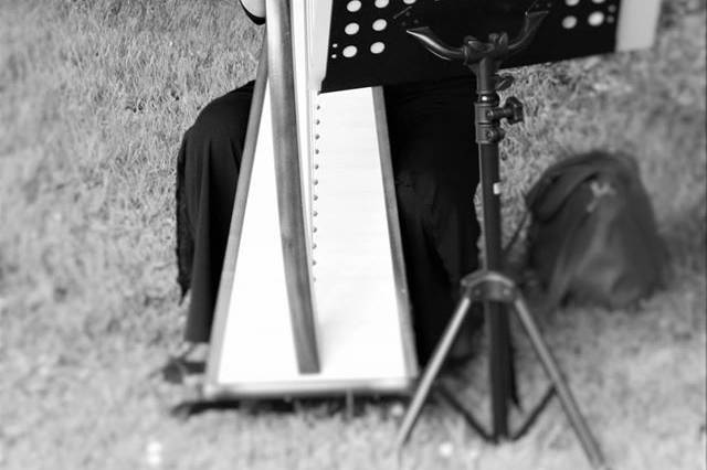 Jeanne Brachet Harpiste
