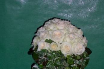 Décoration lierre et roses blanches