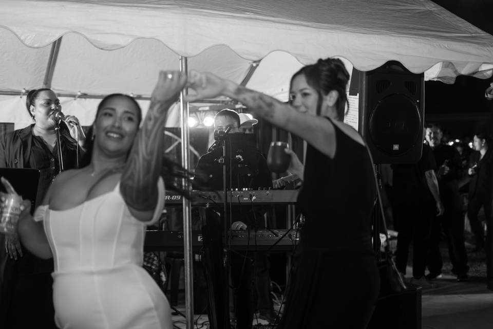 New Zealand Wedding