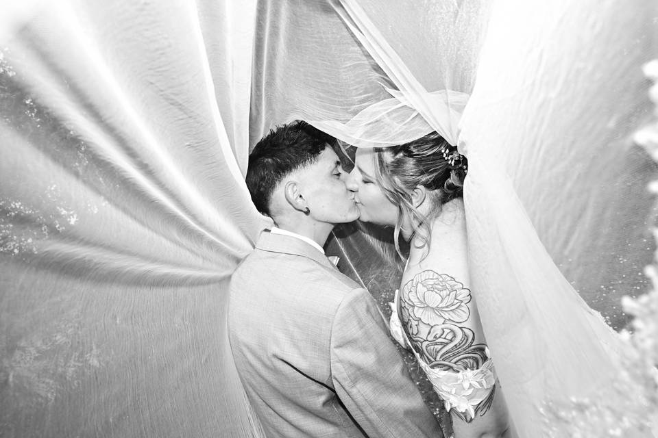 Voile