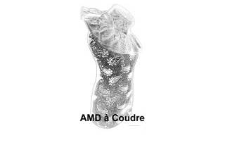 AMD à Coudre