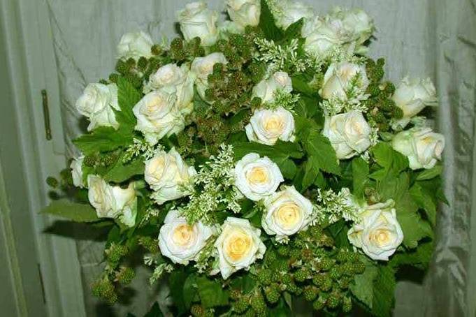 Roses blanches