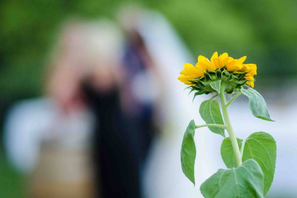 Mariage V&A | Centre Corse