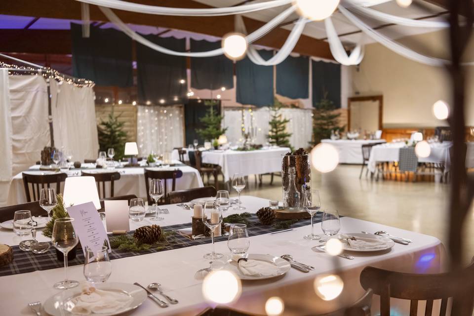Ambiance Mariage A&P