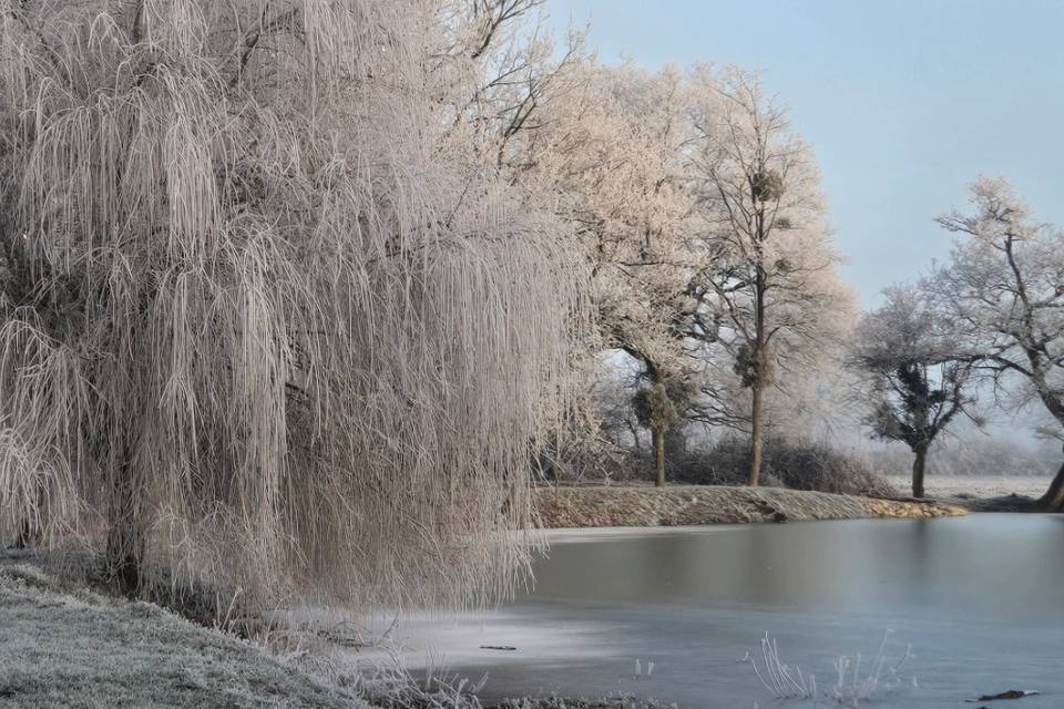 Étang en hiver