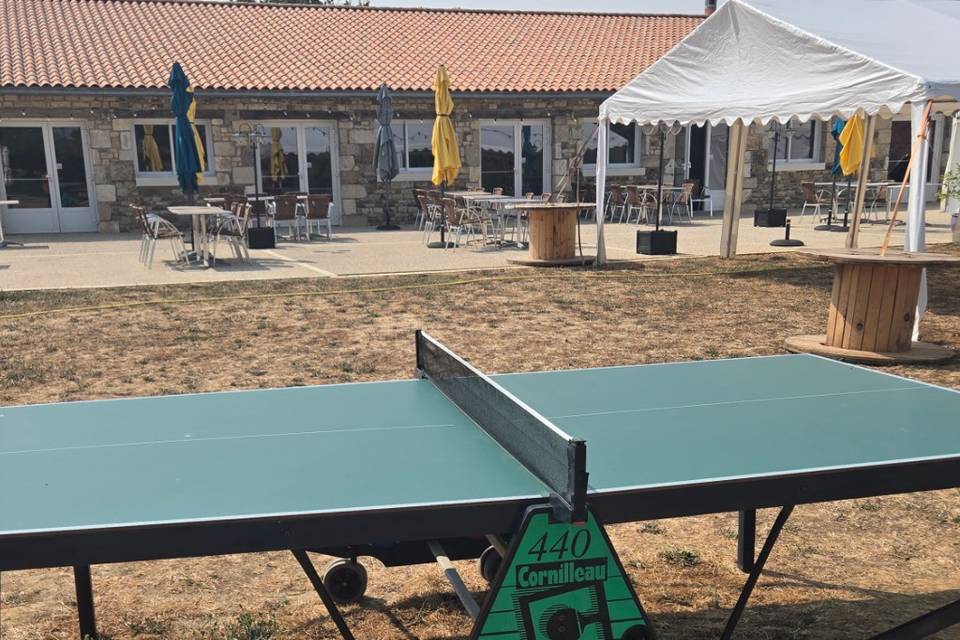Table de ping-pong
