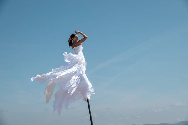 Sway Pole