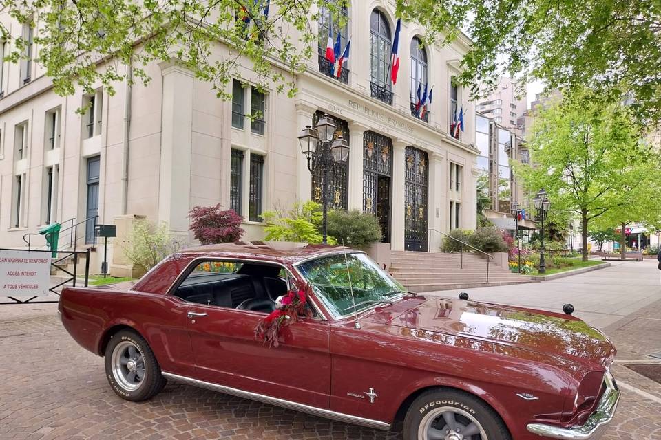 Mustang