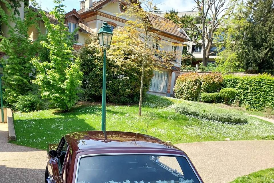 Mustang