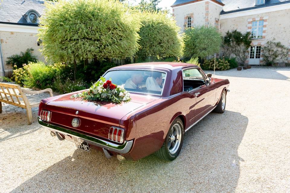 Mustang