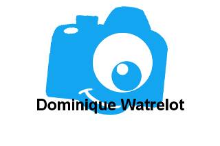 Dominique WATRELOT logo