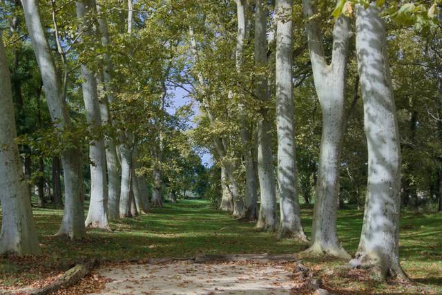 Parc