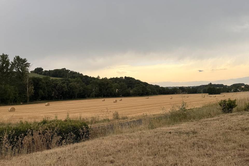 Parc