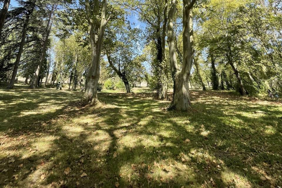 Parc