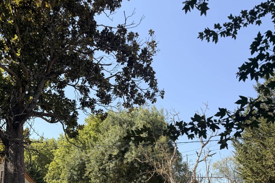 Parc