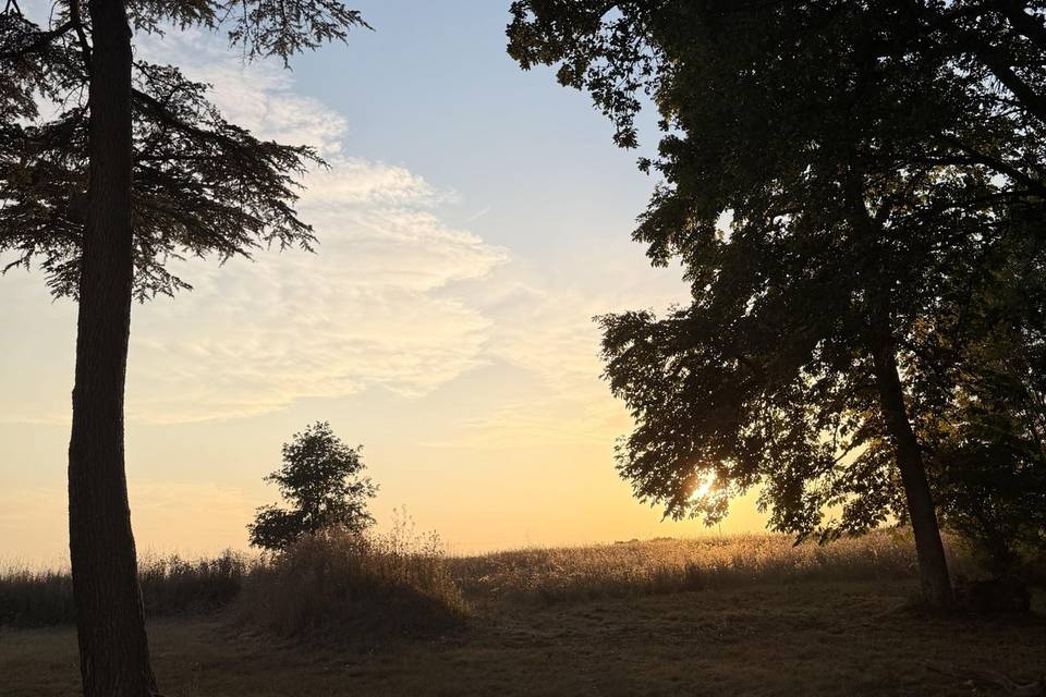 Parc