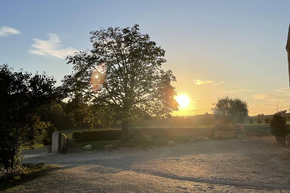 Parc