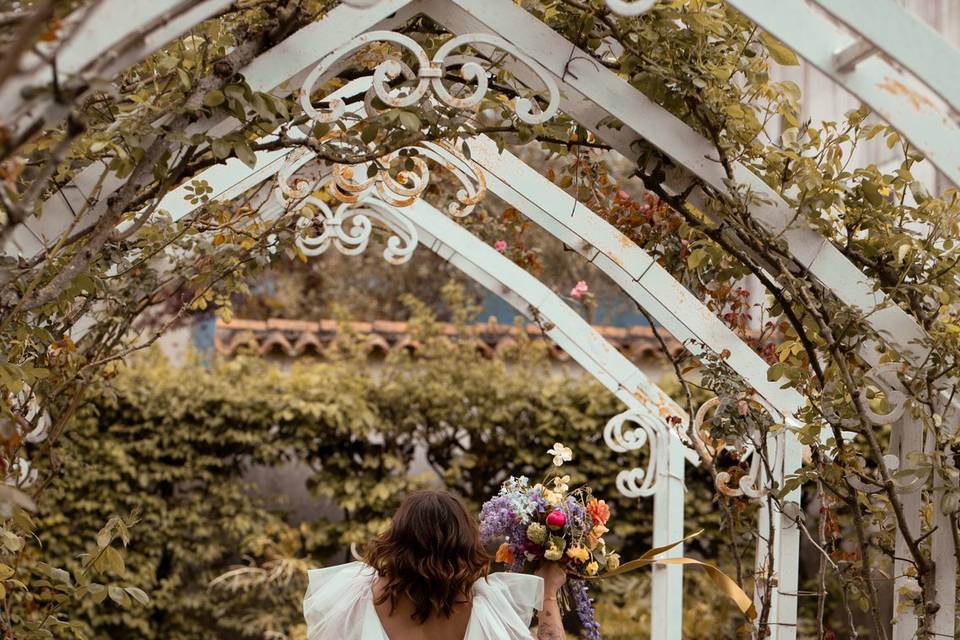Jardin des plantes