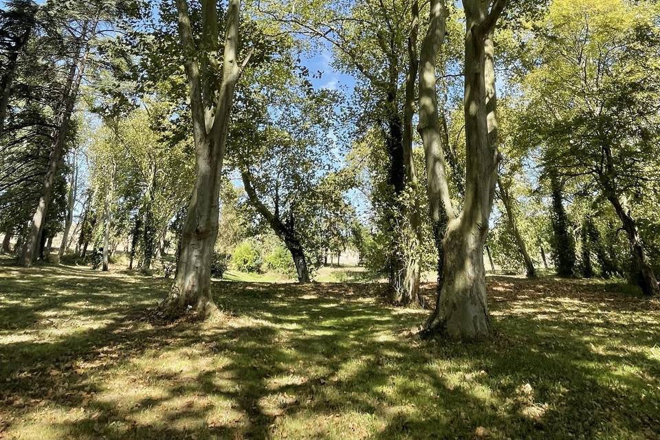 Parc