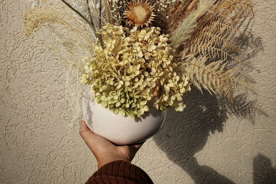 Une fleur en Cévennes