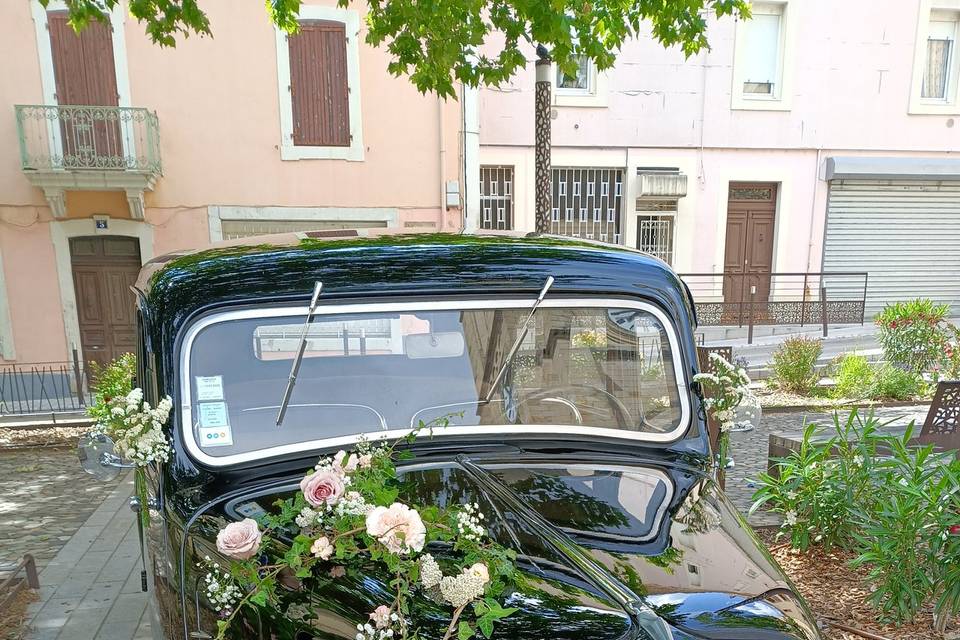 Une fleur en Cévennes