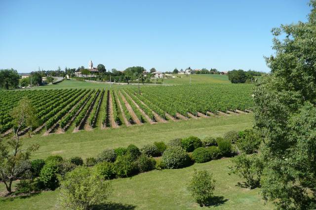 Vue du château