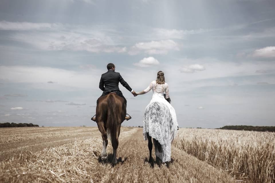 After Day, à cheval