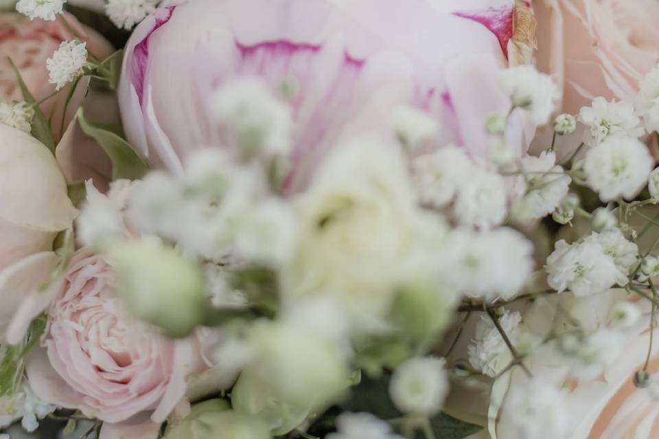 Alliances et Bouquet
