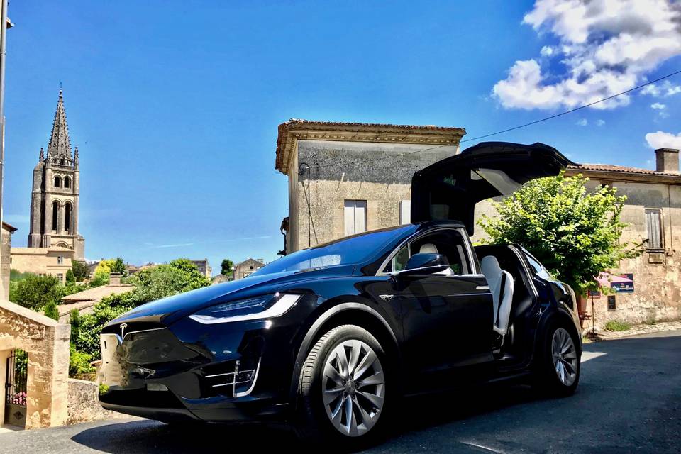 Model X Saint Emilion