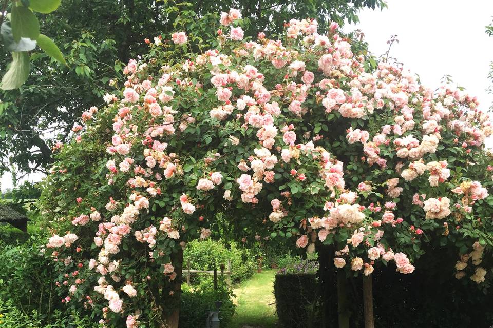 Jardin