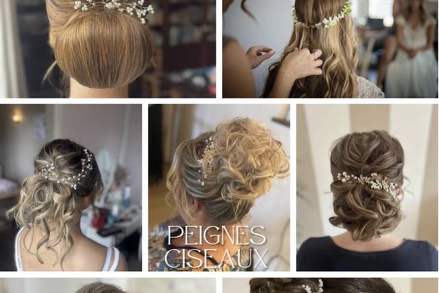 Peignes Ciseaux