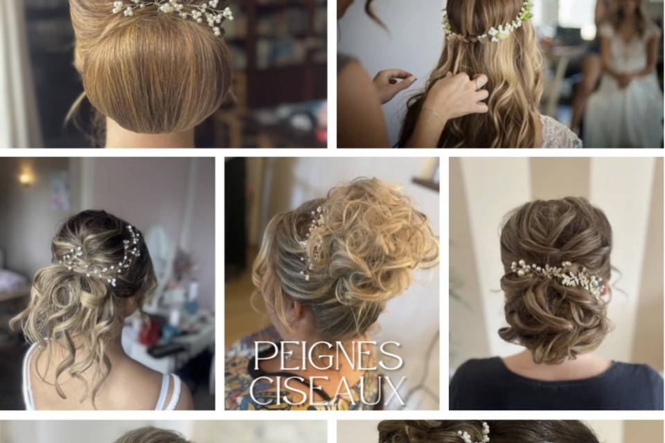 Peignes Ciseaux