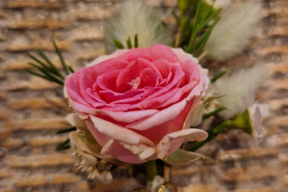 Boutonnière du marié