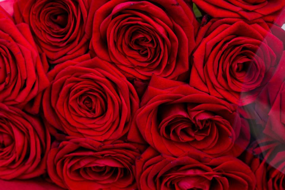 Bouquet de roses