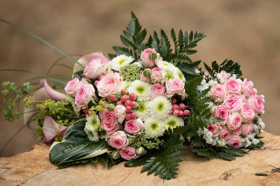 Fleur et douceur