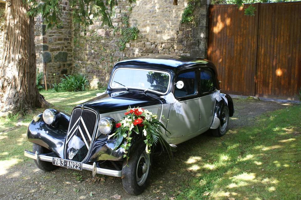 Coccinelle, Maître Artisan Fleuriste