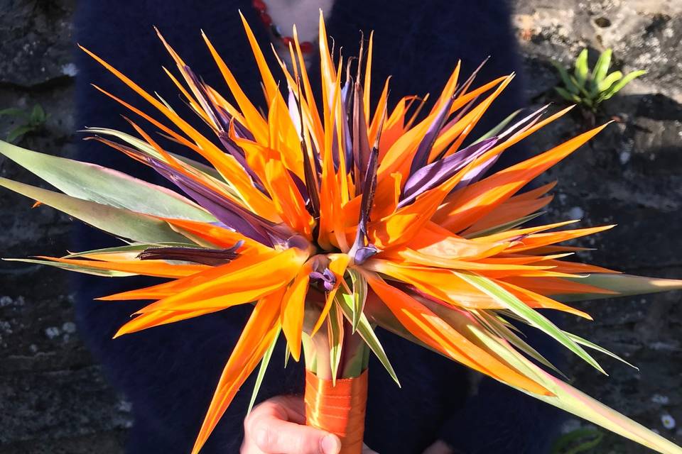 Bouquet de mariée strelitzia