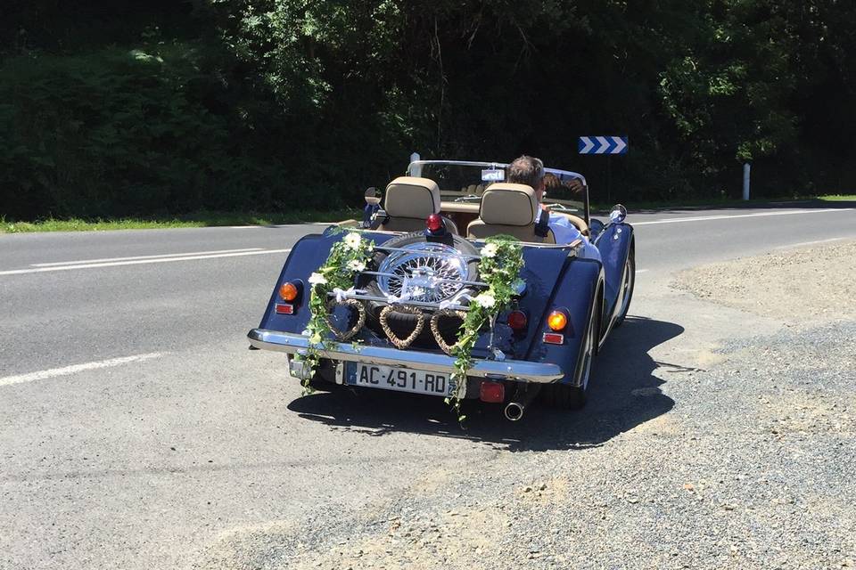 Coccinelle, Maître Artisan Fleuriste