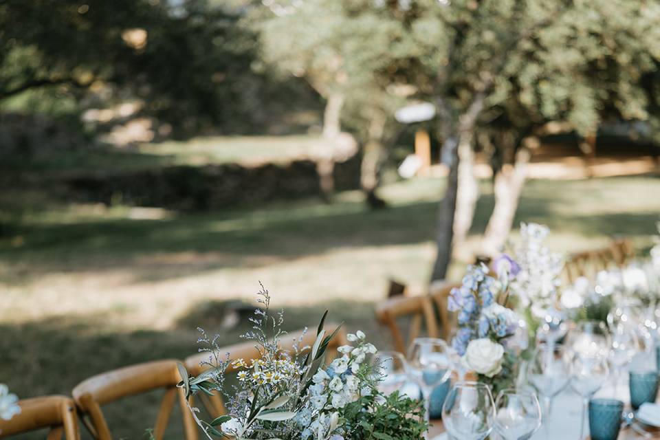 Wedding Planner Provence