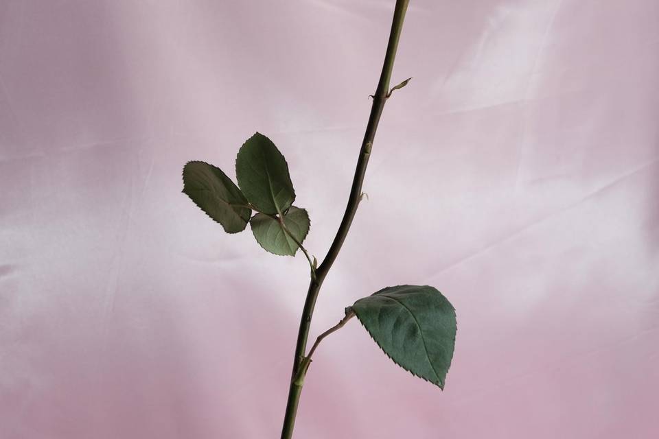 Détail